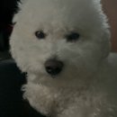 무드멍 이미지