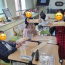창리초등학교 병설유치원 | 🍕초등학교 베게트피자 수업 현장! 아이들이 직접 만드는 즐거운 요리 시간💛