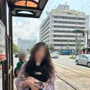 풍성카인카 | 마쓰야마성(松山城) 가는법, 요금, 리프트, 케이블카 이용방법, 운영시간 후기(+제주항공 쿠폰) *내돈내산