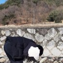 운선농장 이미지