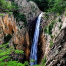 "3대 폭포 중 유일하게 갈 수 있어요"... 88m 물줄기에 감탄 나오는 트레킹 명소 이미지