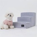 쿨 퍼피 이미지