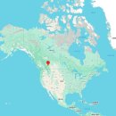 타이어카페 | 캐나다 밴프 겨울 여행 스노우타이어는 필수, 렌트카 예약 후기