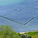 개매기체험장 이미지