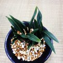 강서체육공원 이미지