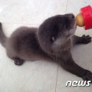 서울시 야생동물 구조관리센터 이미지