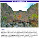 ♣11/17~18(금/토)주왕산 주산지 물안개와 절골 단풍 이미지