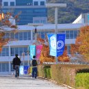 부산대학교 국제전문대학원 이미지