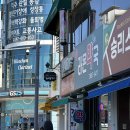 가남지 | 대전도룡식당 동남아퓨전음식점 가남지 내돈내산 솔직후기