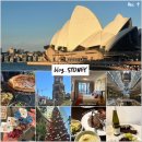 피자(PIZZA)1991 월성점 | [호주] 시드니 7박 9일 EP.1 시내 맛보기 (시드니 공항/마끼아토/퀸빅토리아빌딩/스티치 커피/YEHS 하버...