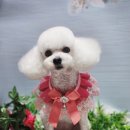 인주대로 이미지