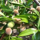 섬강농원 이미지