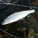 주니농장 이미지