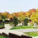 오금공원 이미지