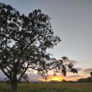 와흘메밀마을 이미지