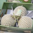 대성판매장 이미지