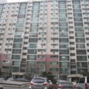 분당-115 이미지