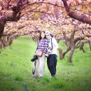 정이농장 이미지