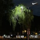 제현이네집밥 | 방 학 숙 제