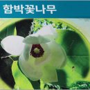 명산_금강산외금강,만물상 이미지