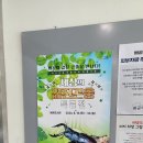 배곧도서관 | 2024년 8월18일 세상의 값진곤충 특별전 (배곧도서관 관람 후기)