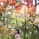 금강공원2 이미지