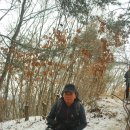 전북 진안 마이산 산행:기이한 암괴의 암기 흡입 이미지
