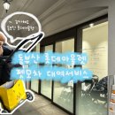 지안약국 | 동부산 롯데아울렛 펫모차 대여 (강아지동반 정보)