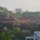 꽃동산분식