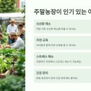 후계자주말농장 이미지