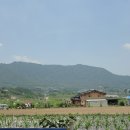 판동초등학교 이미지