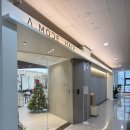 레지나헤어모드미용실 | 검단신도시 아라역 미용실 에이모드헤어 뿌리매직 후기