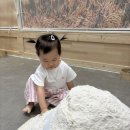 2024 이영란의 감성체험전 가루나무모래흙 | 군포 이영란의 감성체험 ‘가루나무모래흙’ 완벽 후기 🌱