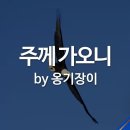 2026년 5월 19일 화요일 입니다. 이미지
