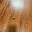 씨유 진주인사플러스점 | [Knoxville, TN] 넘어지나 아주 엎드러지지 아니함은