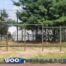 광덕고등학교 이미지