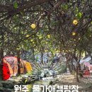 물가애 캠핑장 이미지