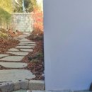 미시간m치과 네이버블로그