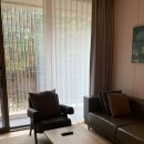 백운면 벚꽃길 | [제천 여행] 레스트리 리솜 G50 숲뷰 막걸리 반상 후기