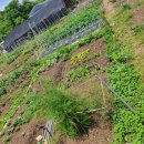 동신농장 이미지