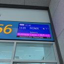 562 | 이탈리아 로마↔인천 아시아나항공(OZ561, OZ562) 비즈니스 기내식 및 와이파이 후기
