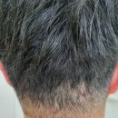 손한나의원 이미지