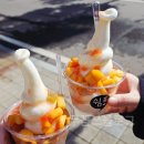 오가네짬뽕 | 카코스, 치악산 복숭아 아이스크림, 오가네막국수 감자옹심이 후기 및 여행 전체 상세 일정과 예산 및...