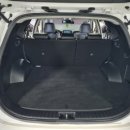 월드카프라자 이미지