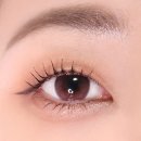 데이지드림
