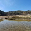 자연마당 이미지