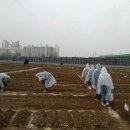 정화농장 이미지