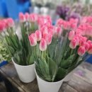 병화농장 이미지