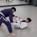 카우보이mma 이미지