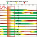 춘란의 생육적정 pH 환경에 따른 비료 의존성과 하이아토닉 이미지